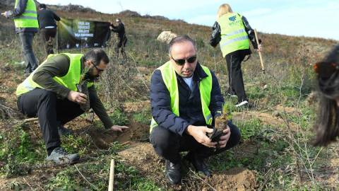 MOSFED Hatıra Ormanları 